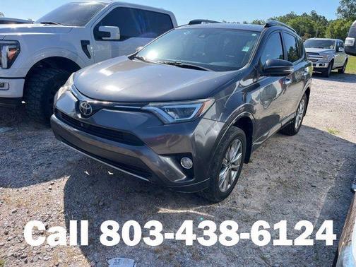 Magnetic Gray Metallic 2017 Toyota RAV4 Platinum