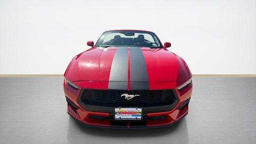 Kona Blue Metallic 2019 Ford Mustang EcoBoost Premium