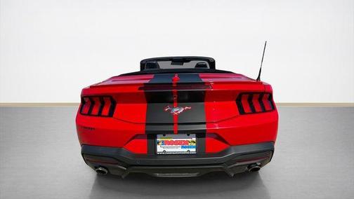 Kona Blue Metallic 2019 Ford Mustang EcoBoost Premium