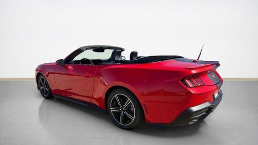 Kona Blue Metallic 2019 Ford Mustang EcoBoost Premium