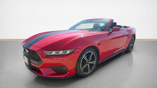 Kona Blue Metallic 2019 Ford Mustang EcoBoost Premium