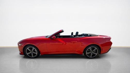Kona Blue Metallic 2019 Ford Mustang EcoBoost Premium