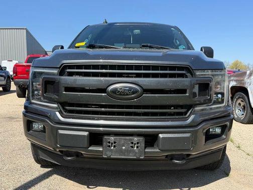 Magnetic 2019 Ford F-150 XLT