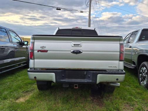 Ingot Silver Metallic 2014 Ford F-150 FX4