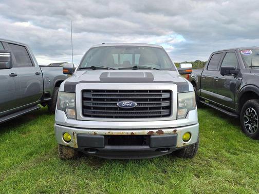 Ingot Silver Metallic 2014 Ford F-150 FX4