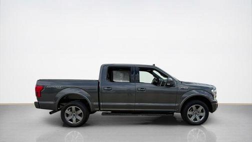 Magnetic 2019 Ford F-150 Lariat