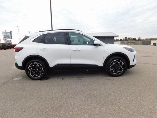 Star White 2026 Ford Escape Platinum