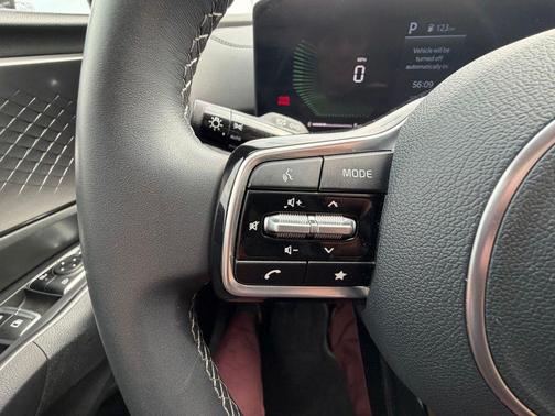 Panthera Metal 2025 Kia Sorento S