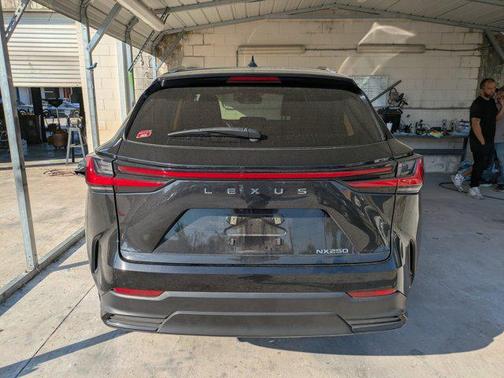2023 Lexus NX 250 Base