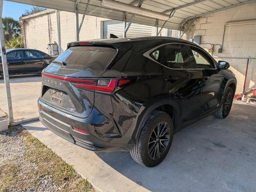 2023 Lexus NX 250 Base
