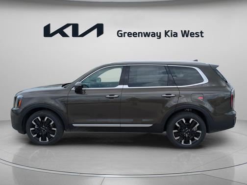 Dark Moss 2025 Kia Telluride SX