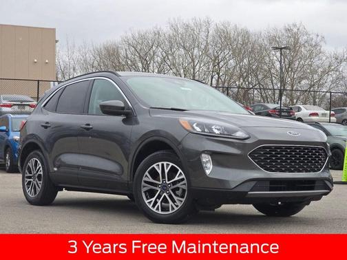 Magnetic 2020 Ford Escape SEL