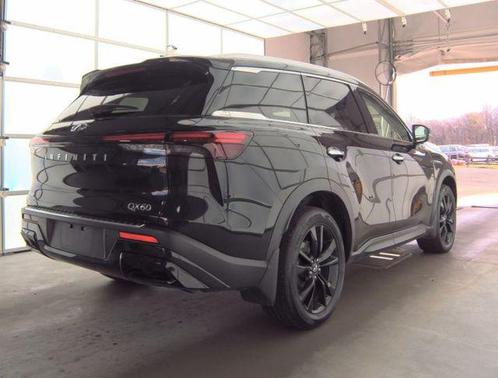 Mineral Black 2023 INFINITI QX60 Luxe