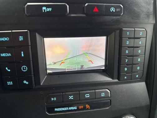 Magnetic 2018 Ford F-150 XL