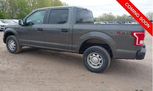Magnetic 2017 Ford F-150 XL