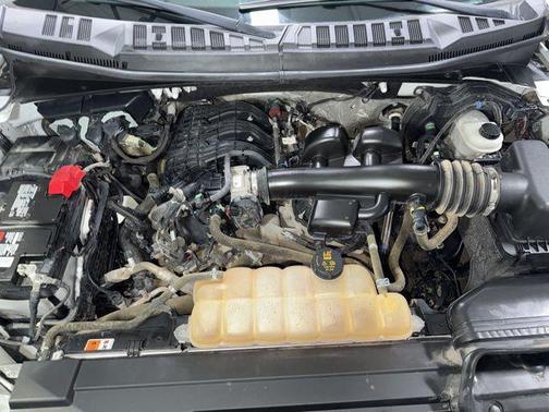 Oxford White 2019 Ford F-150 XL