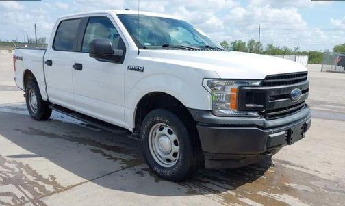 Oxford White 2019 Ford F-150 XL