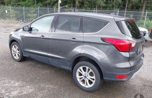 Magnetic 2019 Ford Escape SE