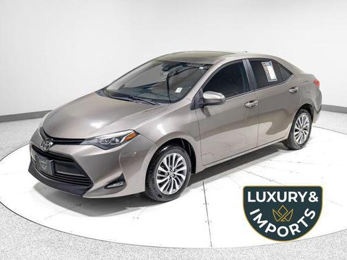 Falcon Gray Metallic 2019 Toyota Corolla XLE