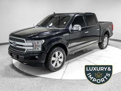 Black Metallic 2019 Ford F-150 Platinum