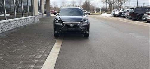 2019 Lexus NX 300h Base