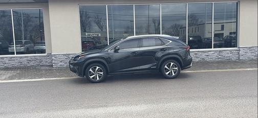 2019 Lexus NX 300h Base