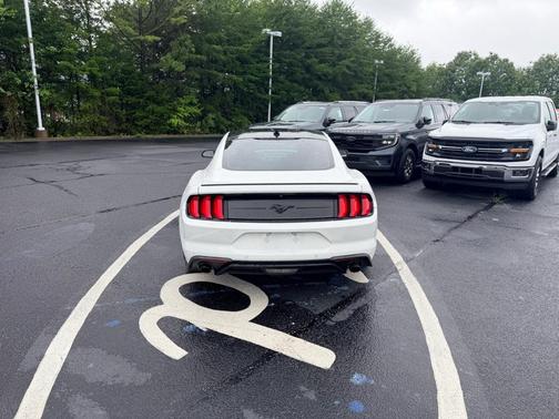 Oxford White 2022 Ford Mustang EcoBoost