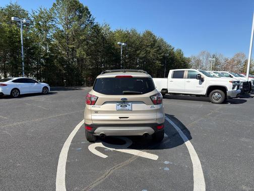 White Gold Metallic 2017 Ford Escape SE