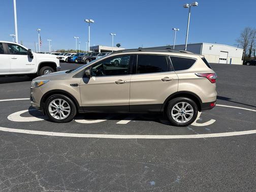 White Gold Metallic 2017 Ford Escape SE