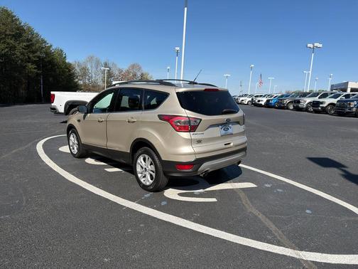 White Gold Metallic 2017 Ford Escape SE