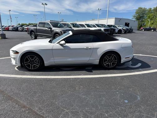 Oxford White 2020 Ford Mustang EcoBoost Premium