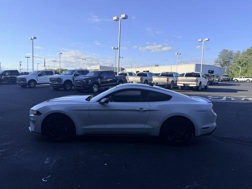 Oxford White 2022 Ford Mustang EcoBoost