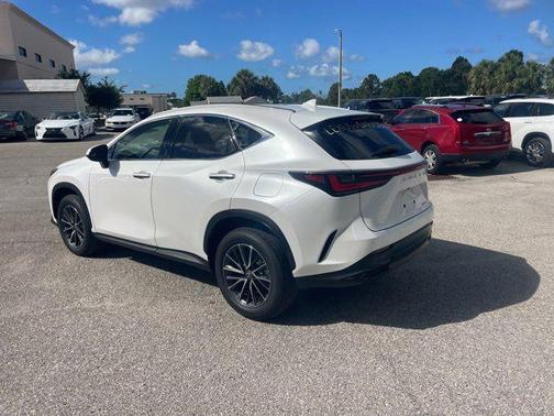 2025 Lexus NX 250 Premium