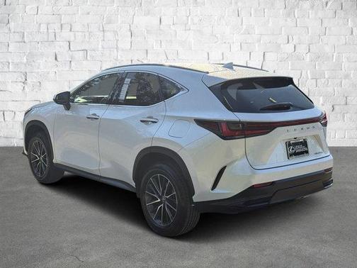 2025 Lexus NX 250 Premium