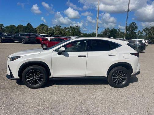 2025 Lexus NX 250 Premium