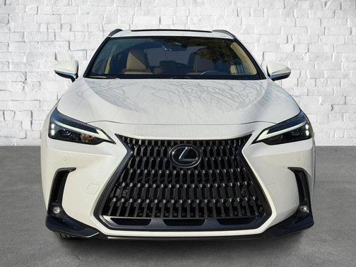 2025 Lexus NX 250 Premium