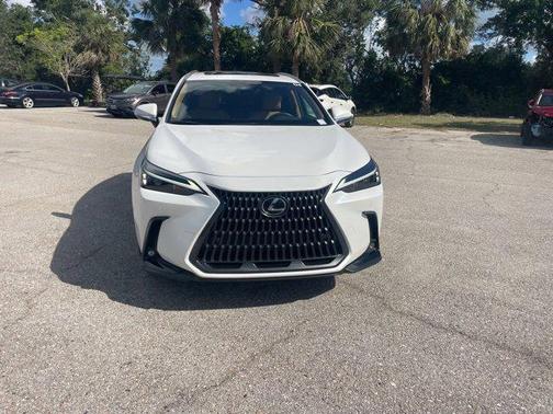 2025 Lexus NX 250 Premium