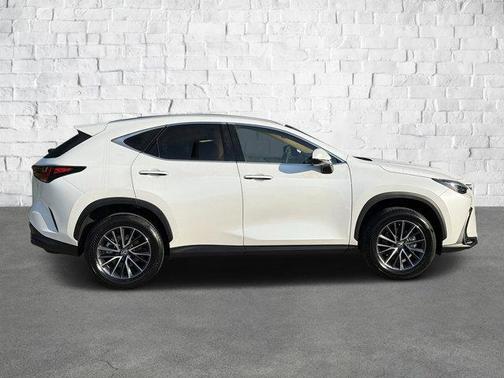 2025 Lexus NX 250 Premium
