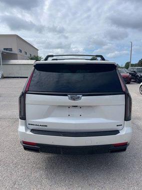 Crystal White Tricoat 2024 Cadillac Escalade Sport Platinum