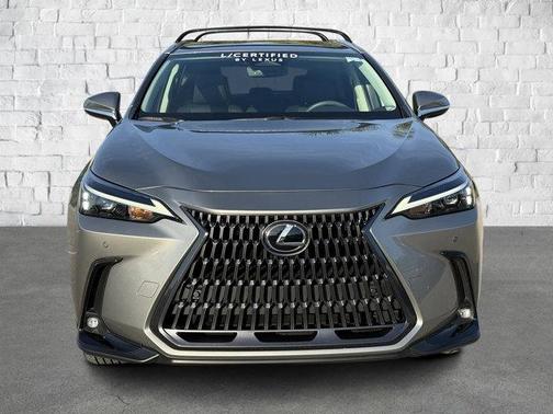 2023 Lexus NX 350 Premium