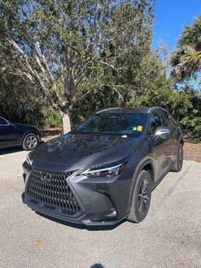 2025 Lexus NX 250 Premium