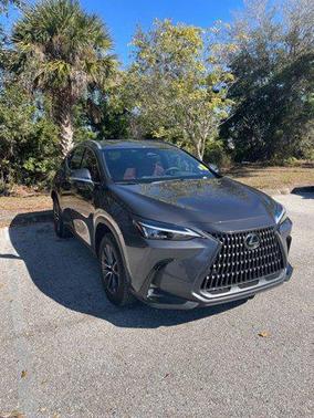 2025 Lexus NX 250 Premium