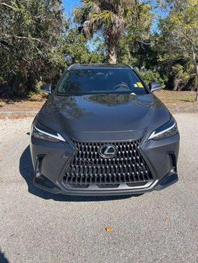 2025 Lexus NX 250 Premium