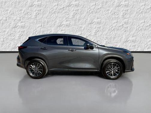 2025 Lexus NX 250 Premium