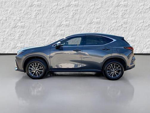 2025 Lexus NX 250 Premium