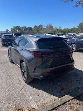 2025 Lexus NX 250 Premium