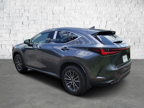2024 Lexus NX 250 Premium