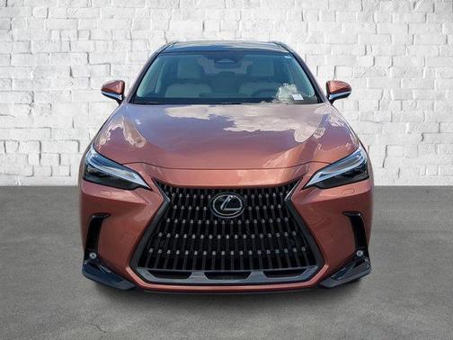 2025 Lexus NX 350 Luxury