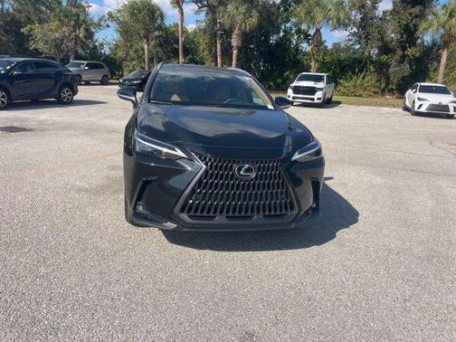 2025 Lexus NX 250 Premium