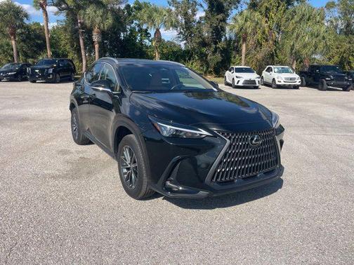 2025 Lexus NX 250 Premium